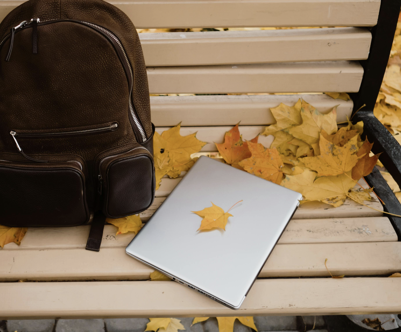 Fall
